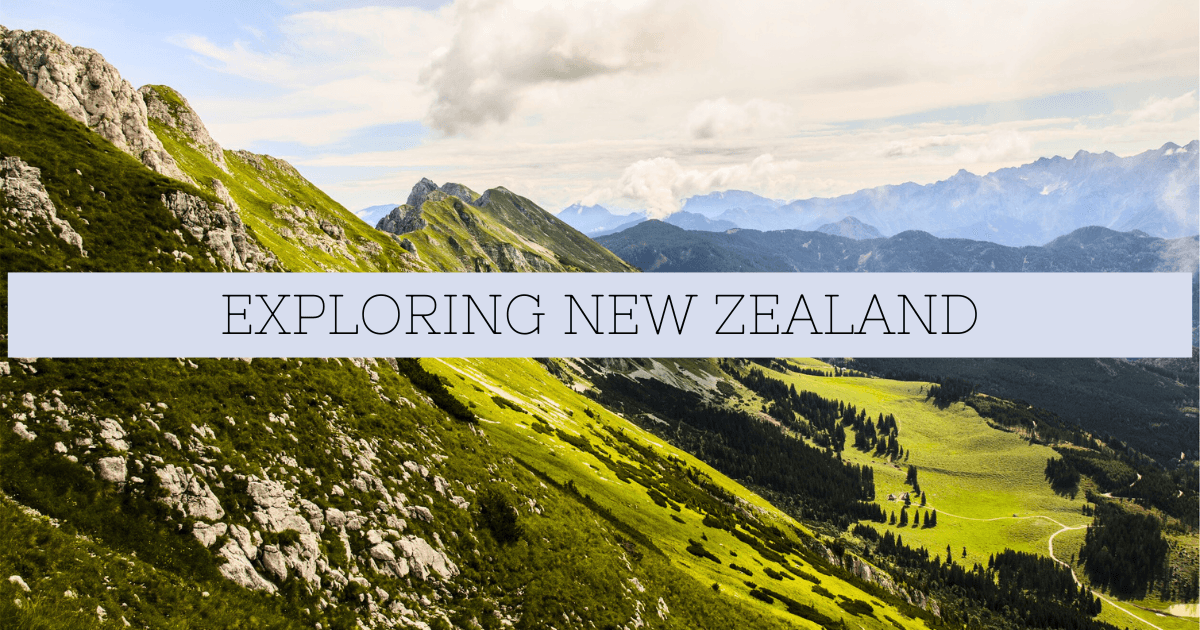 New Zealand Government Work Visa Sponsorship Jobs 2023
