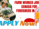 Farm Worker Jobs in Canada for Foreigners