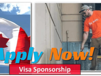 700+Jobs in Canada for Light Duty Cleaners with Sponsorship for Visas