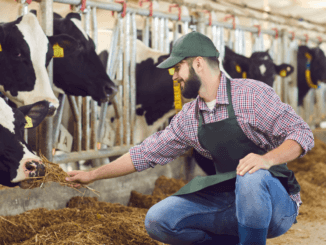 Farm Supervisor Jobs in Canada 2024 - Apply Now
