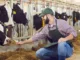 Farm Supervisor Jobs in Canada 2024 - Apply Now