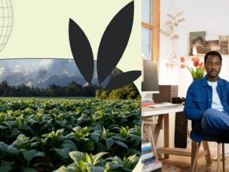Farm Jobs in the USA with Visa Sponsorship