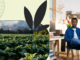 Farm Jobs in the USA with Visa Sponsorship