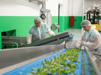 3000+Vegetable Farm Worker Jobs in Canada 2024