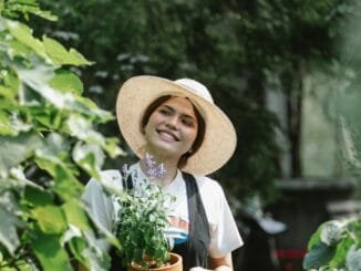 Flowers Garden Jobs in Poland 2024