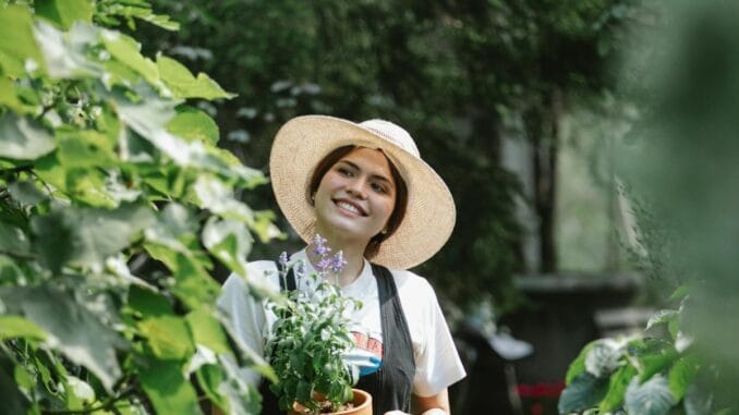 Flowers Garden Jobs in Poland 2024