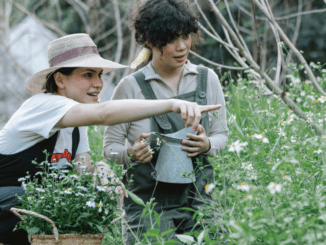 450+Visa Sponsorship, Farm Supervisor Jobs