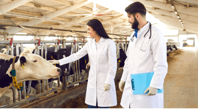 Visa Sponsorship Livestock Farming Jobs in Germany