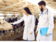 Visa Sponsorship Livestock Farming Jobs in Germany