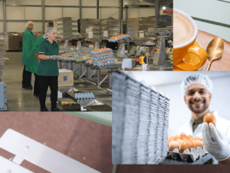 Egg packing jobs in Canada