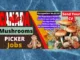 Mushroom Farm Jobs in Canada