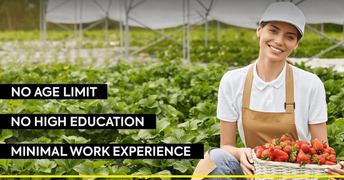 1000+ Agriculture jobs in Australia