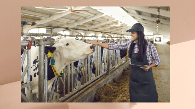 Farm Jobs in Ireland for Foreigners