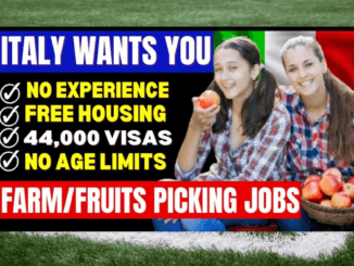 Jobs in Italy for Apple Picking and Packing Without Experience 