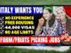 Jobs in Italy for Apple Picking and Packing Without Experience 