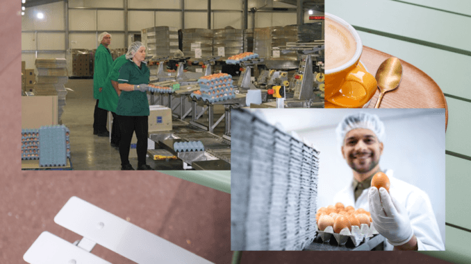 Egg packing jobs in Canada