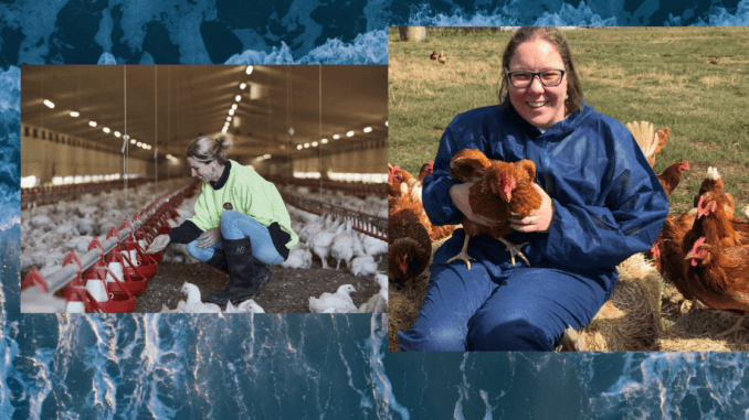 Poultry Farm Hand position in Australia