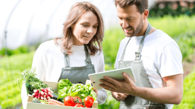 Jobs for Crop Workers in New Zealand