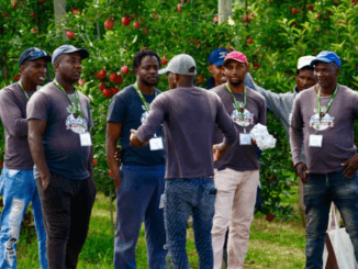 Berry Farm Jobs in Canada