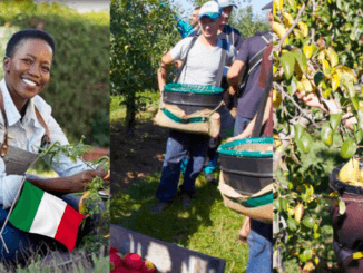 Fruit Picking Jobs in Italy for foreigners