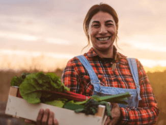 farm jobs in Norway for foreigners