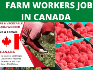 500+Fruit and Vegetable Farm Worker jobs in Canada