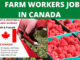 500+Fruit and Vegetable Farm Worker jobs in Canada