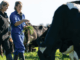 2000+Cow Farm Worker Jobs in New Zealand