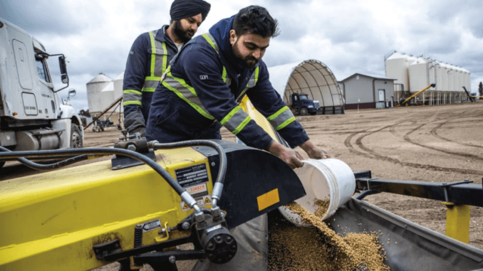 Farm Hand Livestock 300+Jobs in Canada