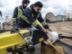 Farm Hand Livestock 300+Jobs in Canada