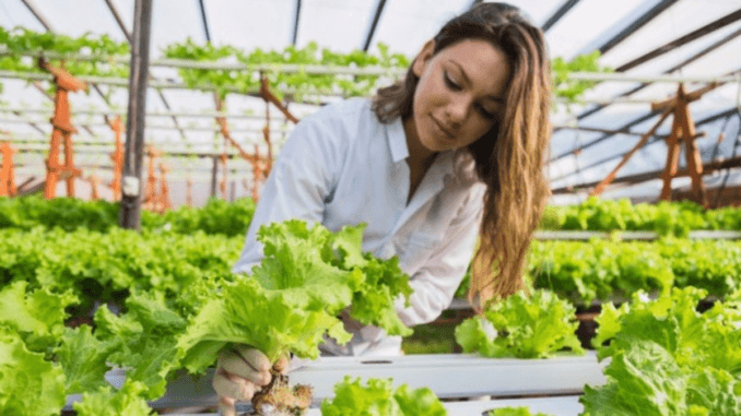 5000+ Farmer jobs in United States