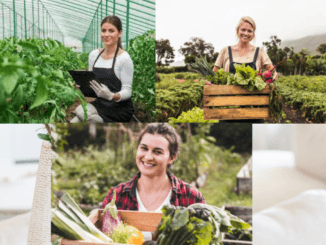 General Farm Worker - Livestock jobs in Canada