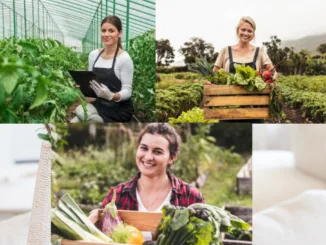 General Farm Worker - Livestock jobs in Canada