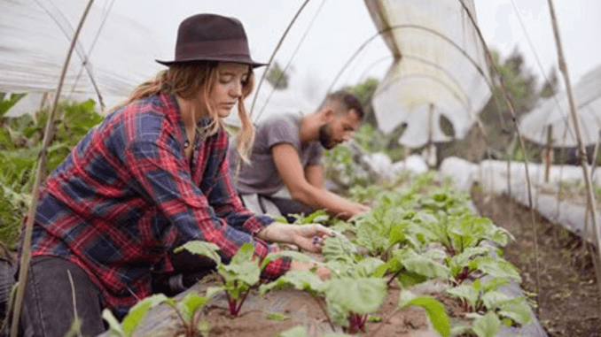 2000+ Agriculture jobs in Canada