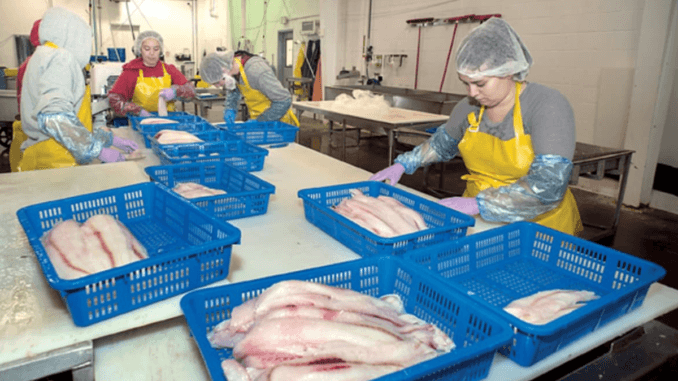 Fish Processing Jobs in UK