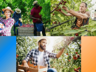 Fruit Picking Jobs in Appenzell Switzerland for Foreigners 2024