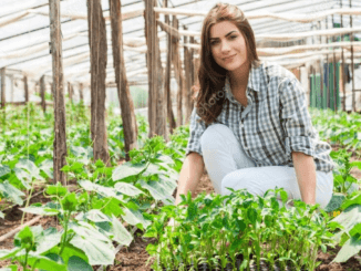 Life Insurance Is Helpful For Agriculture Workers In USA
