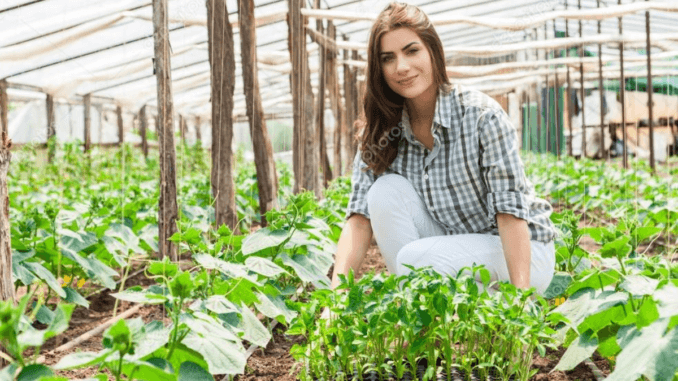 Life Insurance Is Helpful For Agriculture Workers In USA