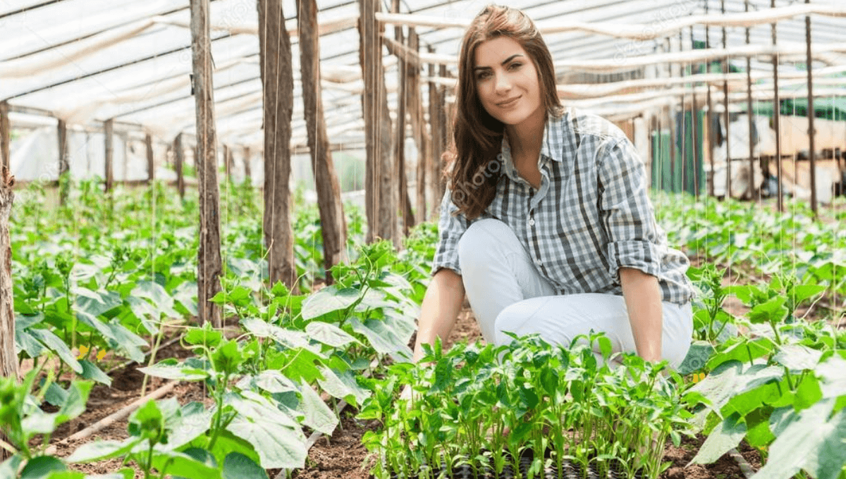 Life Insurance Is Helpful For Agriculture Workers In USA