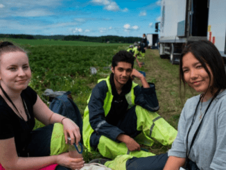 400+Berry Farm Jobs in Canada 2024
