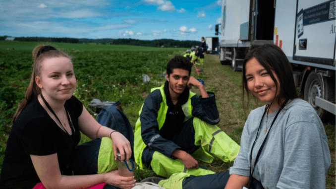 400+Berry Farm Jobs in Canada 2024