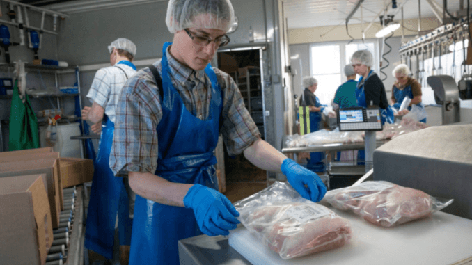 Urgent Food Packaging Jobs in Finland