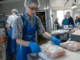 Urgent Food Packaging Jobs in Finland