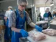 Urgent Food Packaging Jobs in Finland