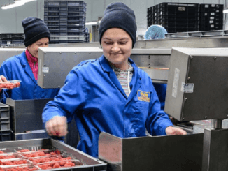 Fruit Picker Jobs, Work in England