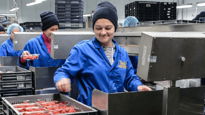 Fruit Picker Jobs, Work in England