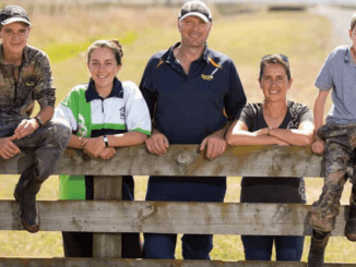 Kiwifruit Picking Jobs in New Zealand
