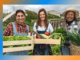 General Farm Worker Jobs for Foreigners in Canada