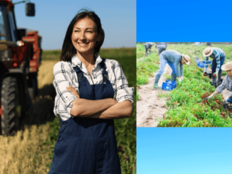 Agricultural Farm Jobs in Germany