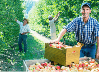 100+Fruit Picker Jobs Apple Picker Jobs in Canada for Foreigners